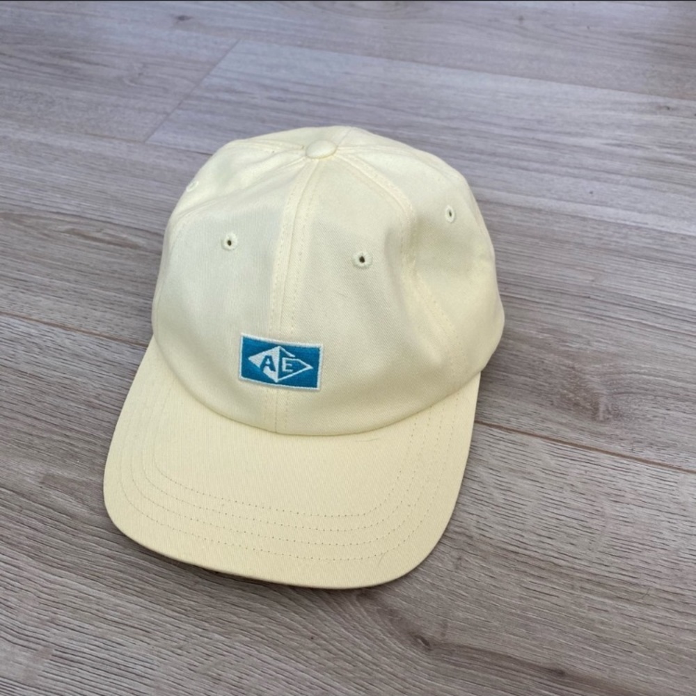 🪴-American eagle cap